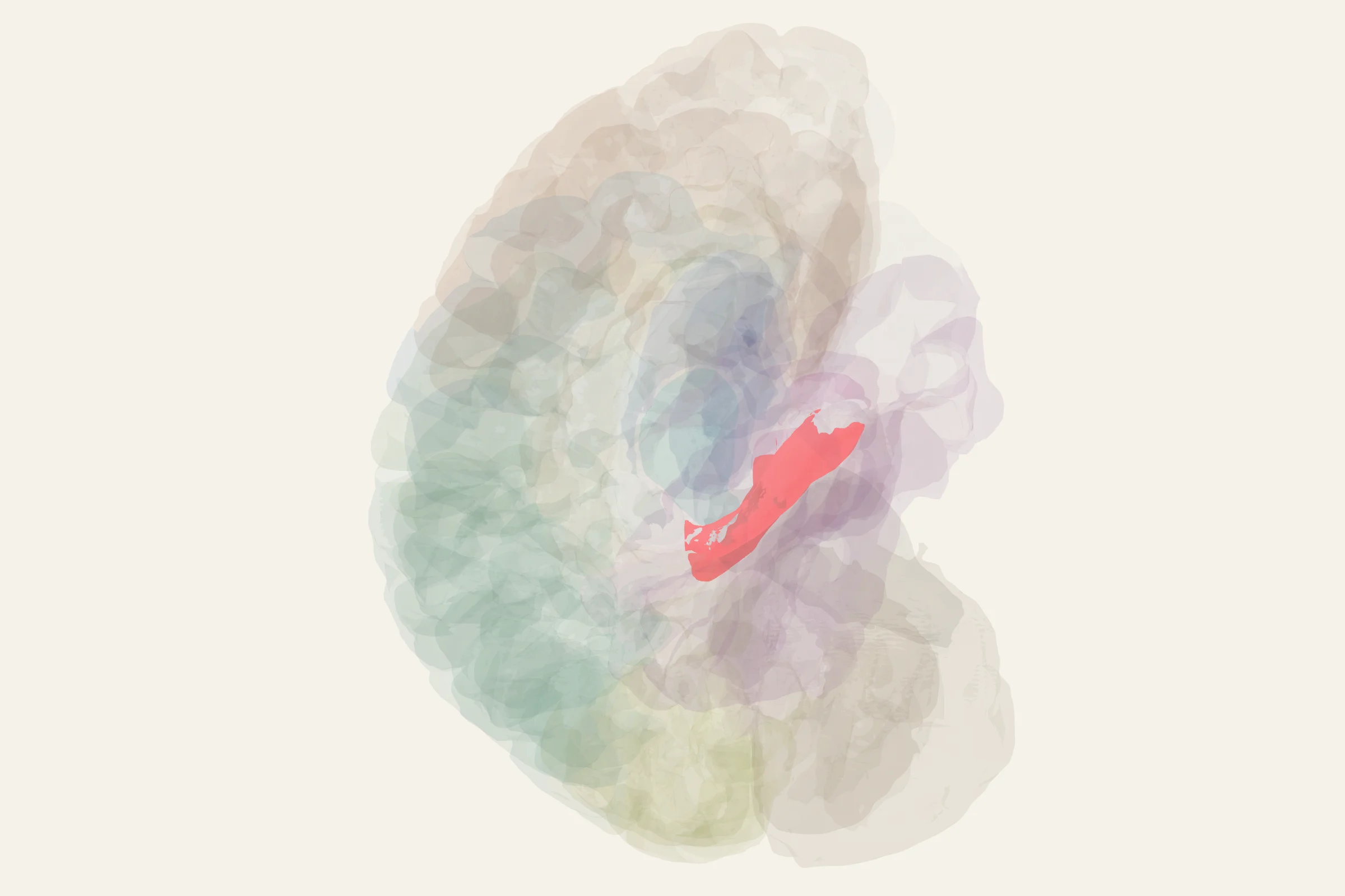 Hippocampus highlighted in colour on a rotatable 3D model of the human brain