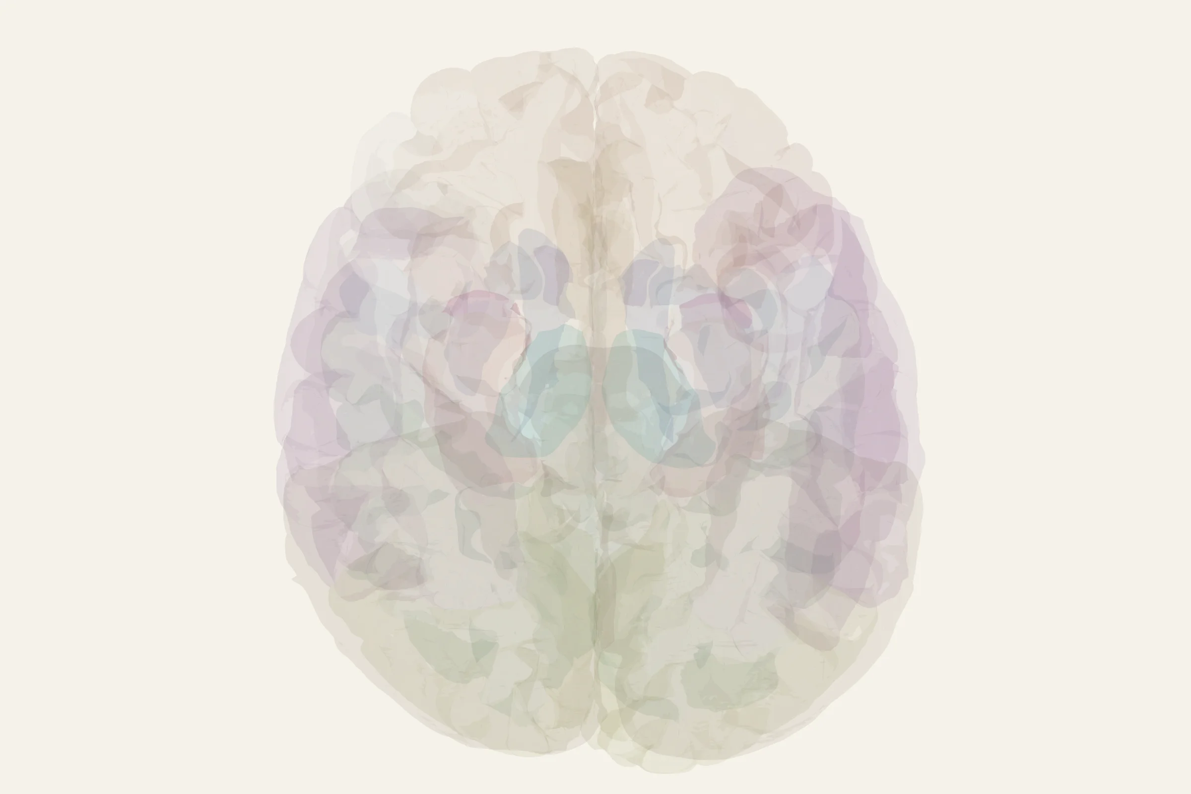 Inferior Olive highlighted in colour on a rotatable 3D model of the human brain