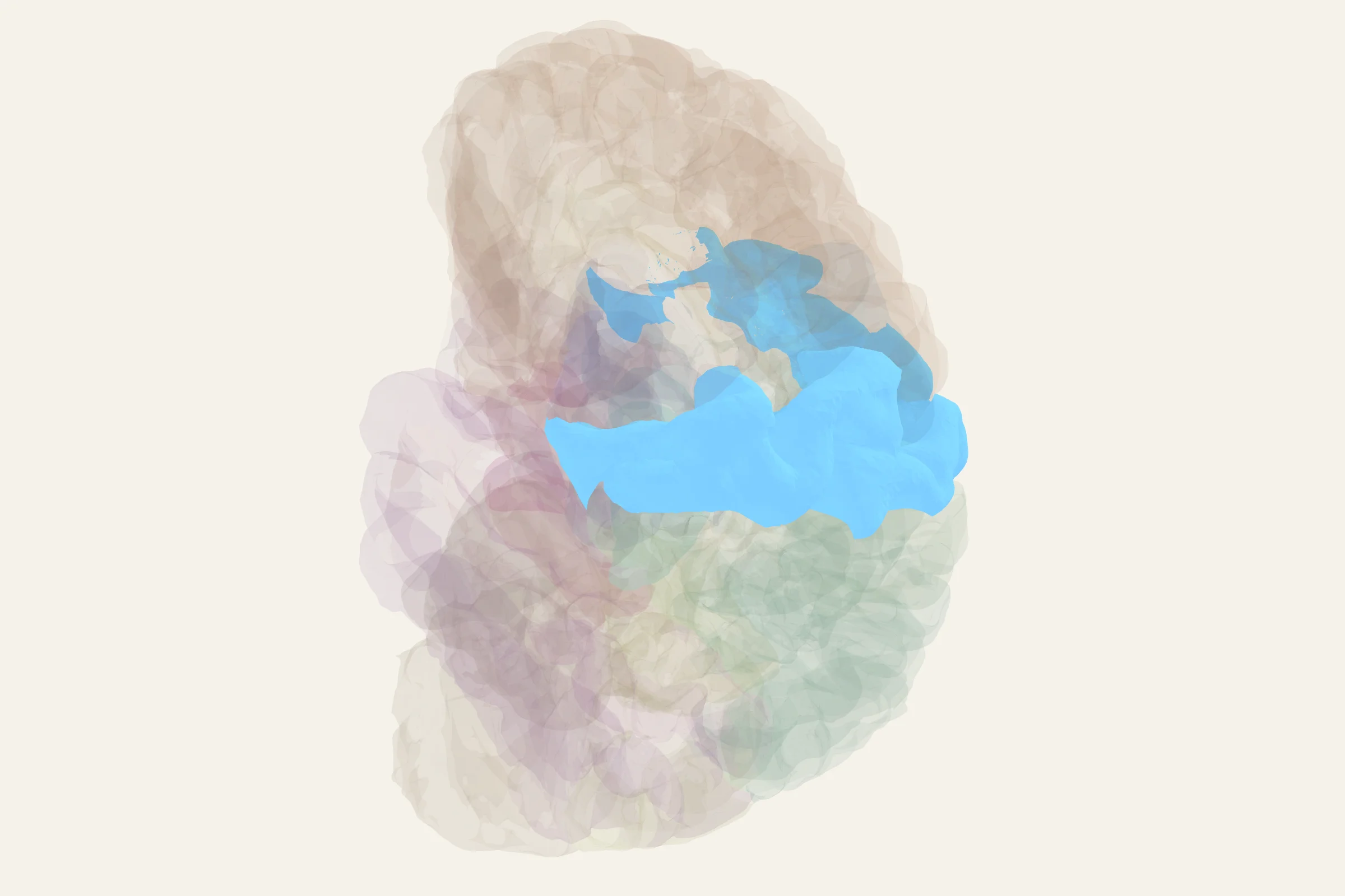 Motor Cortex highlighted in colour on a rotatable 3D model of the human brain