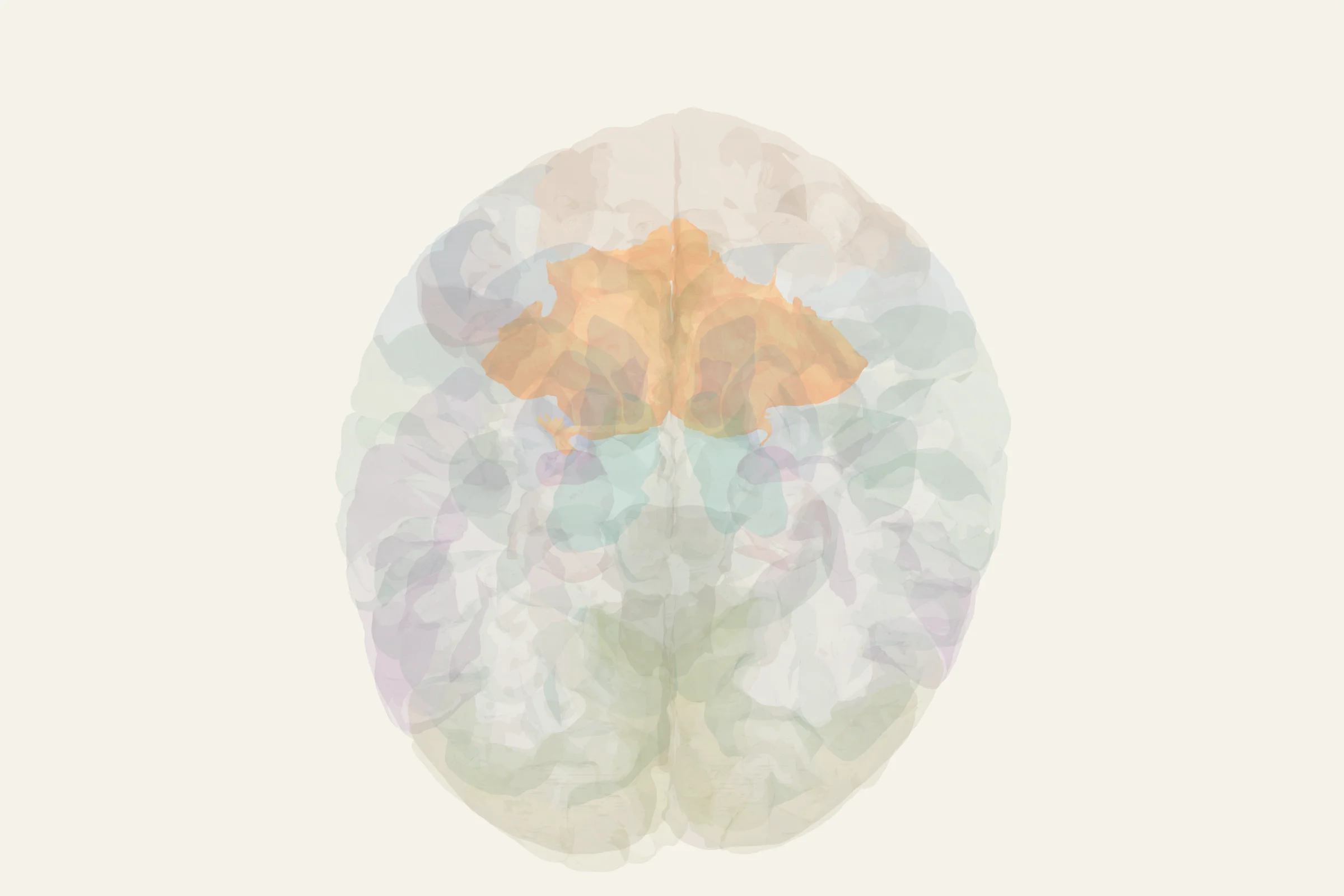 Orbitofrontal Cortex highlighted in colour on a rotatable 3D model of the human brain