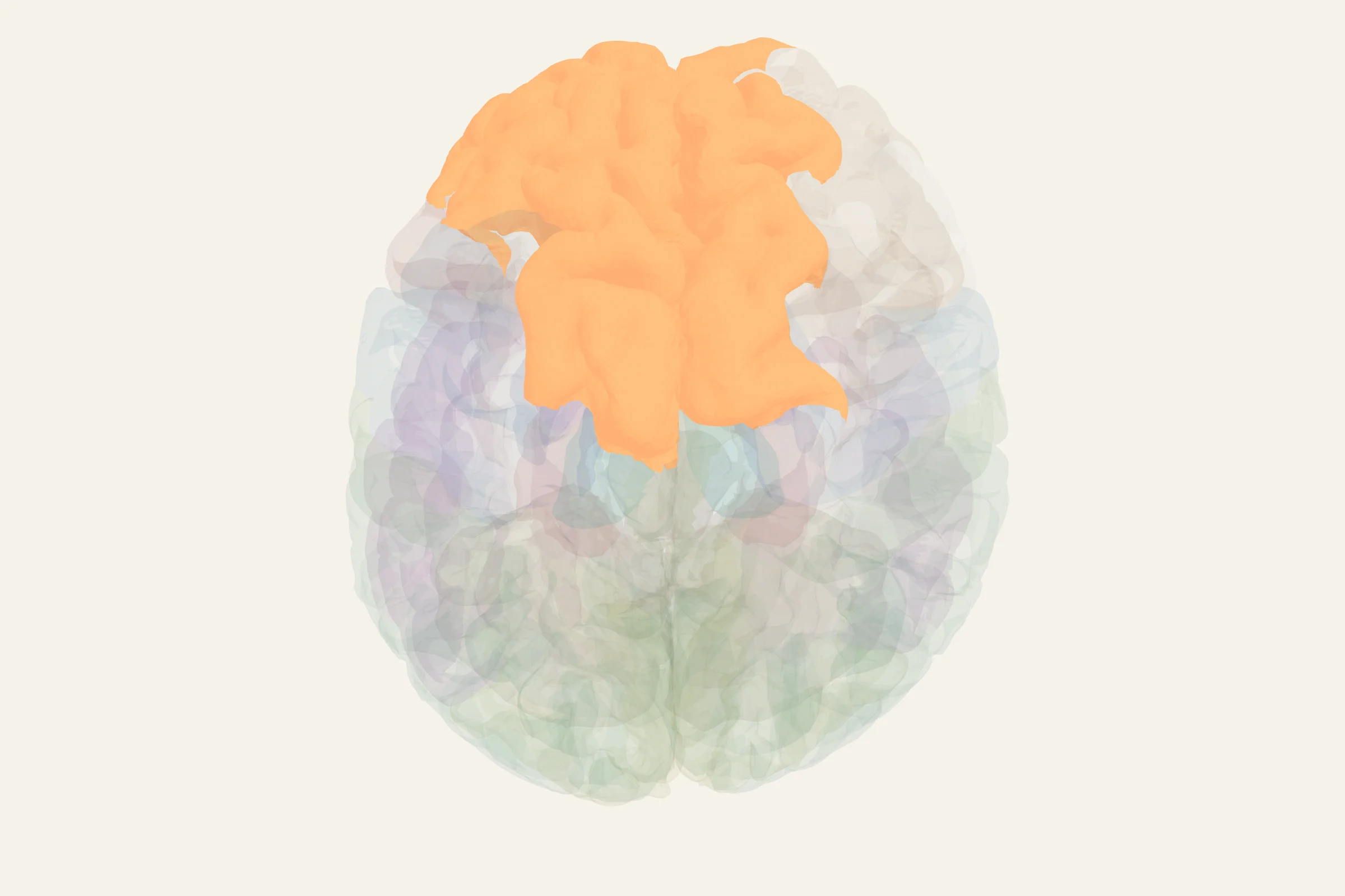 Prefrontal Cortex highlighted in colour on a rotatable 3D model of the human brain