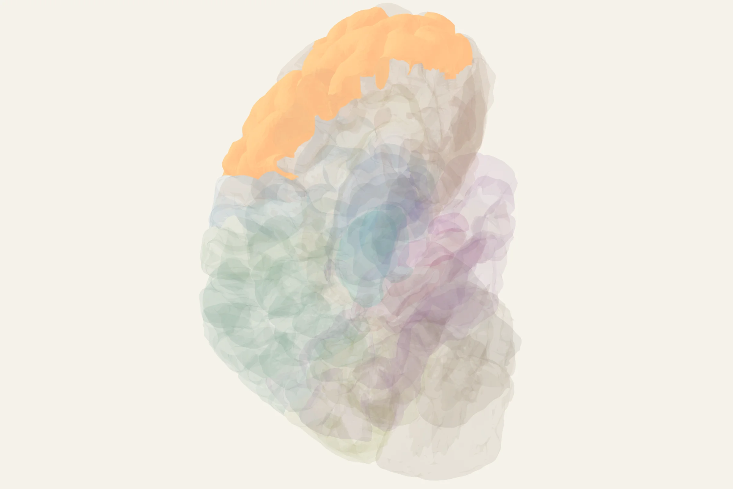 Right Dorsolateral Prefrontal Cortex highlighted in colour on a rotatable 3D model of the human brain