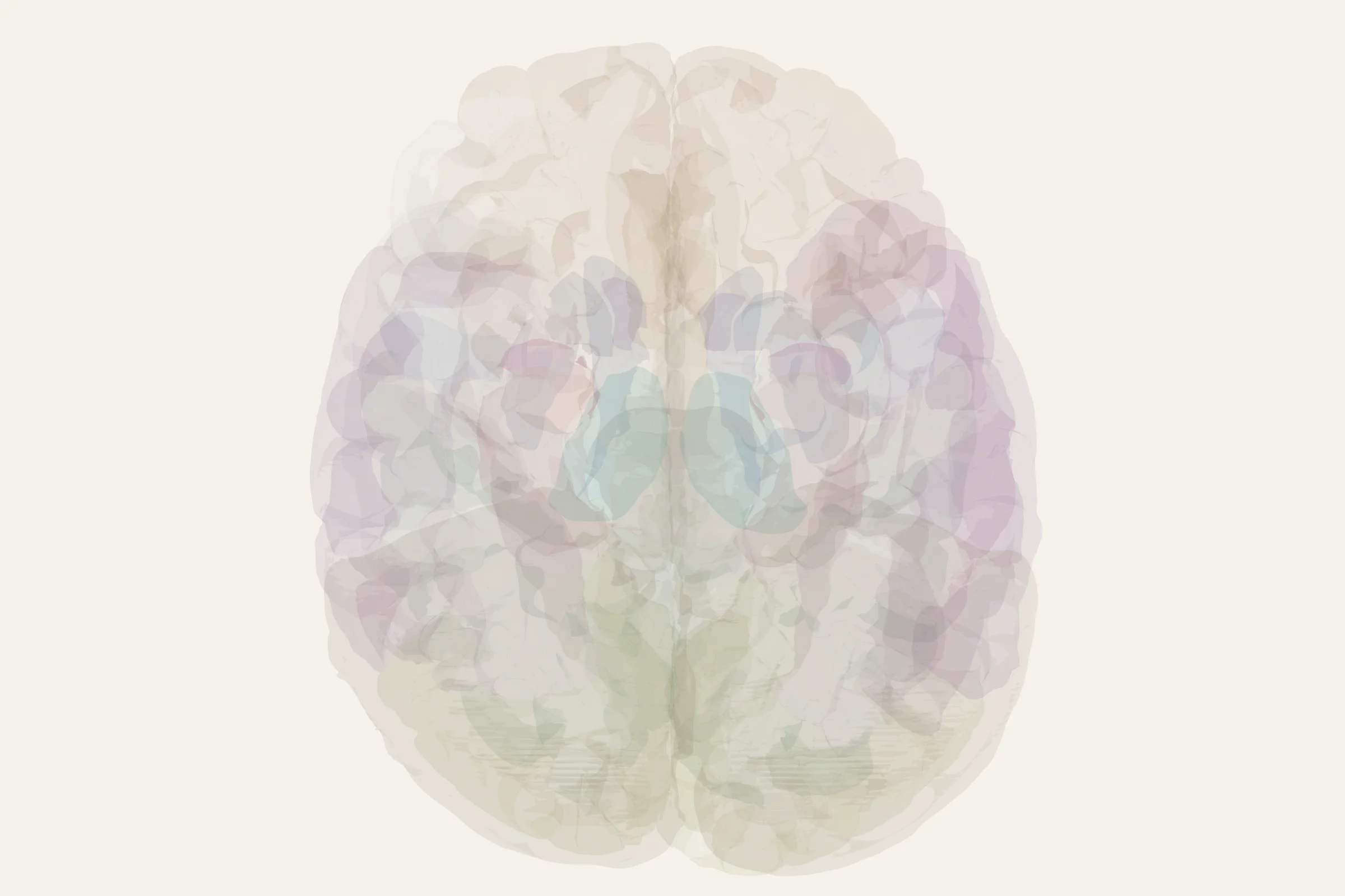 Superior Colliculus highlighted in colour on a rotatable 3D model of the human brain