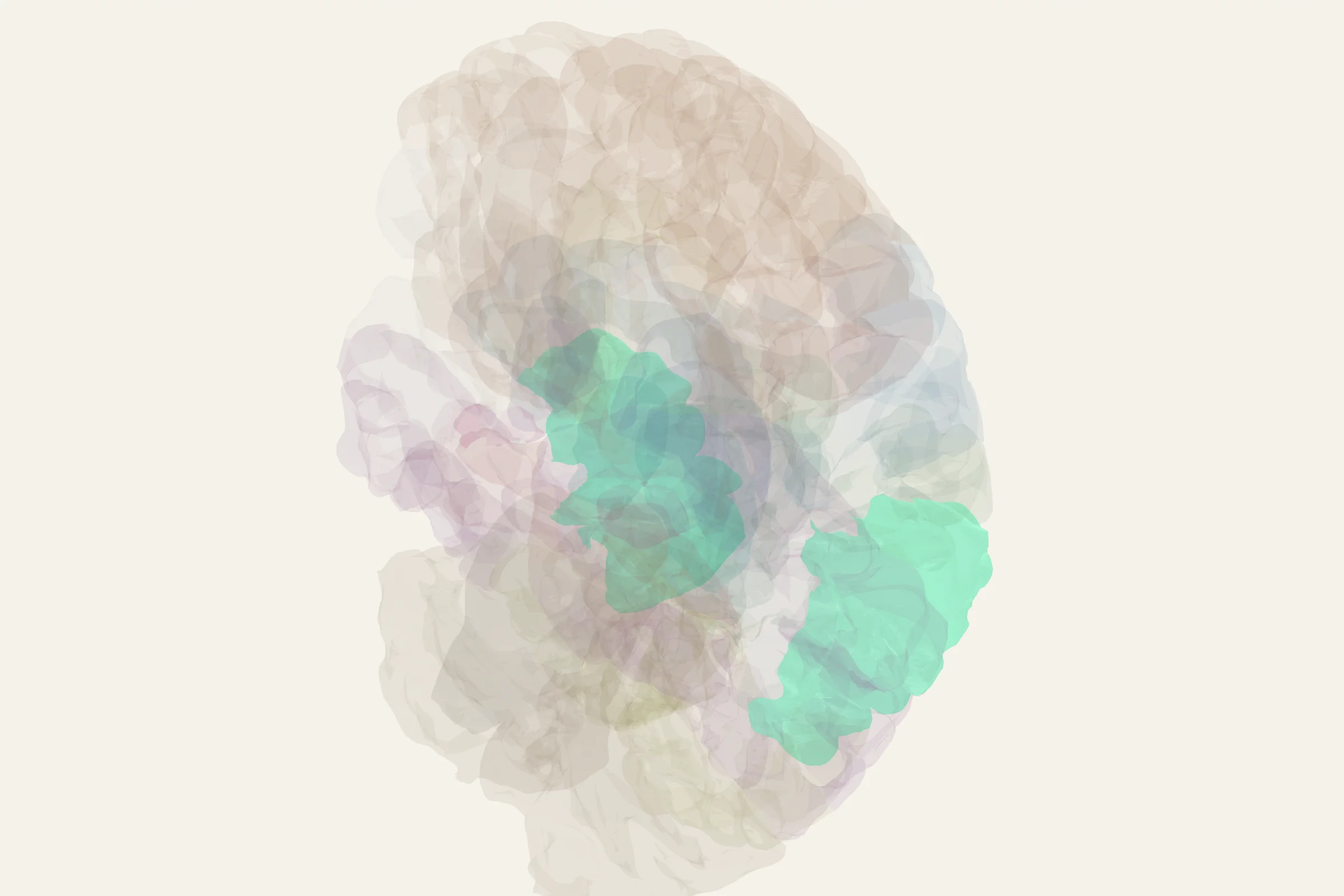 Ventral Posterior Parietal Cortex highlighted in colour on a rotatable 3D model of the human brain
