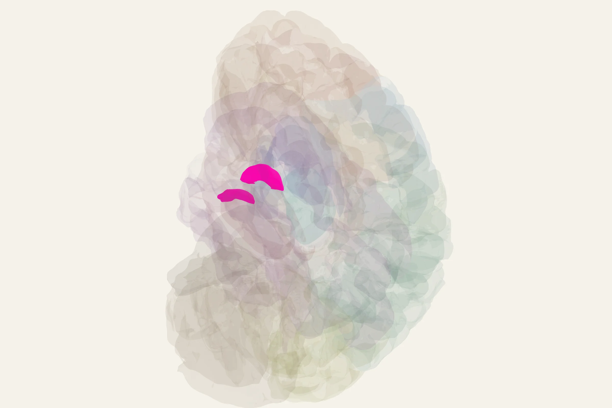 Amygdala highlighted in colour on a rotatable 3D model of the human brain