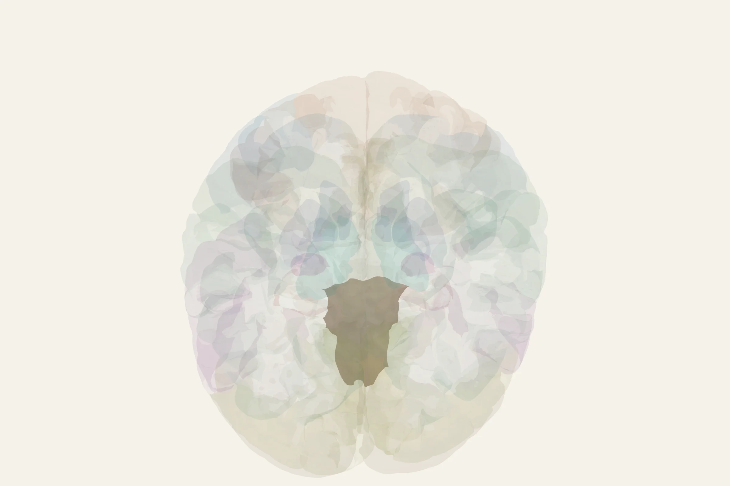 Brainstem highlighted in colour on a rotatable 3D model of the human brain