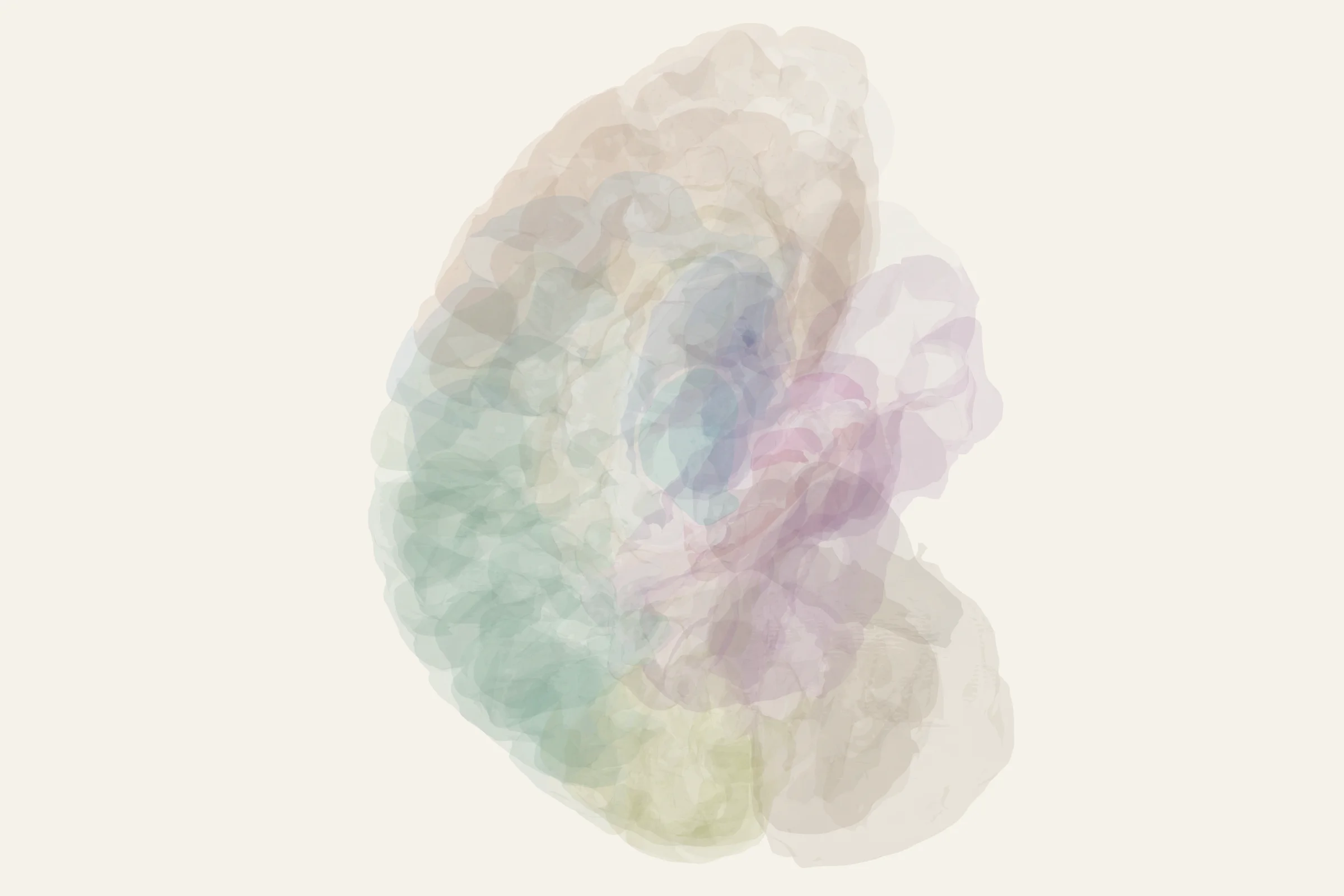 CA3 highlighted in colour on a rotatable 3D model of the human brain
