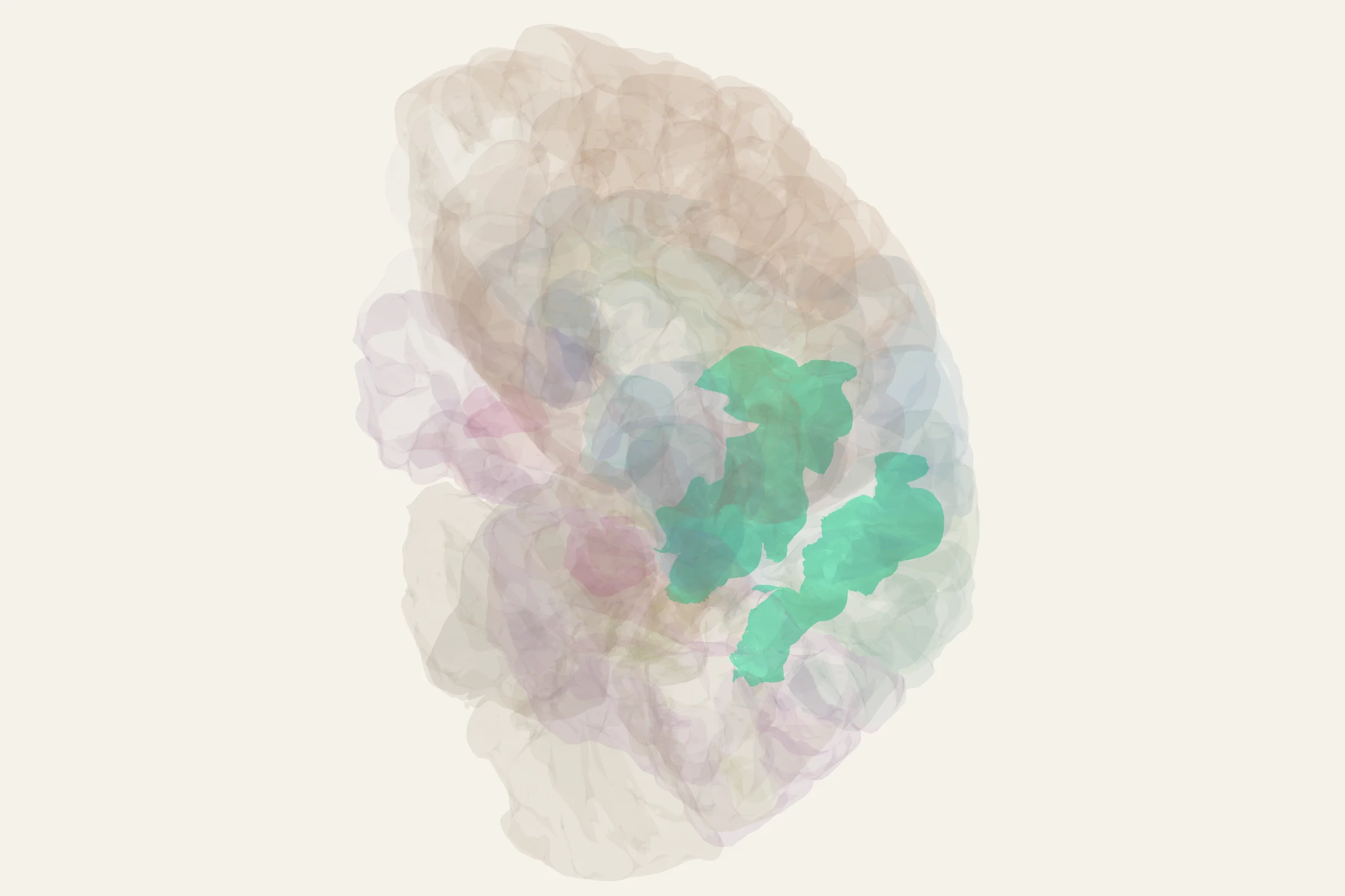 Dorsal Posterior Parietal Cortex highlighted in colour on a rotatable 3D model of the human brain
