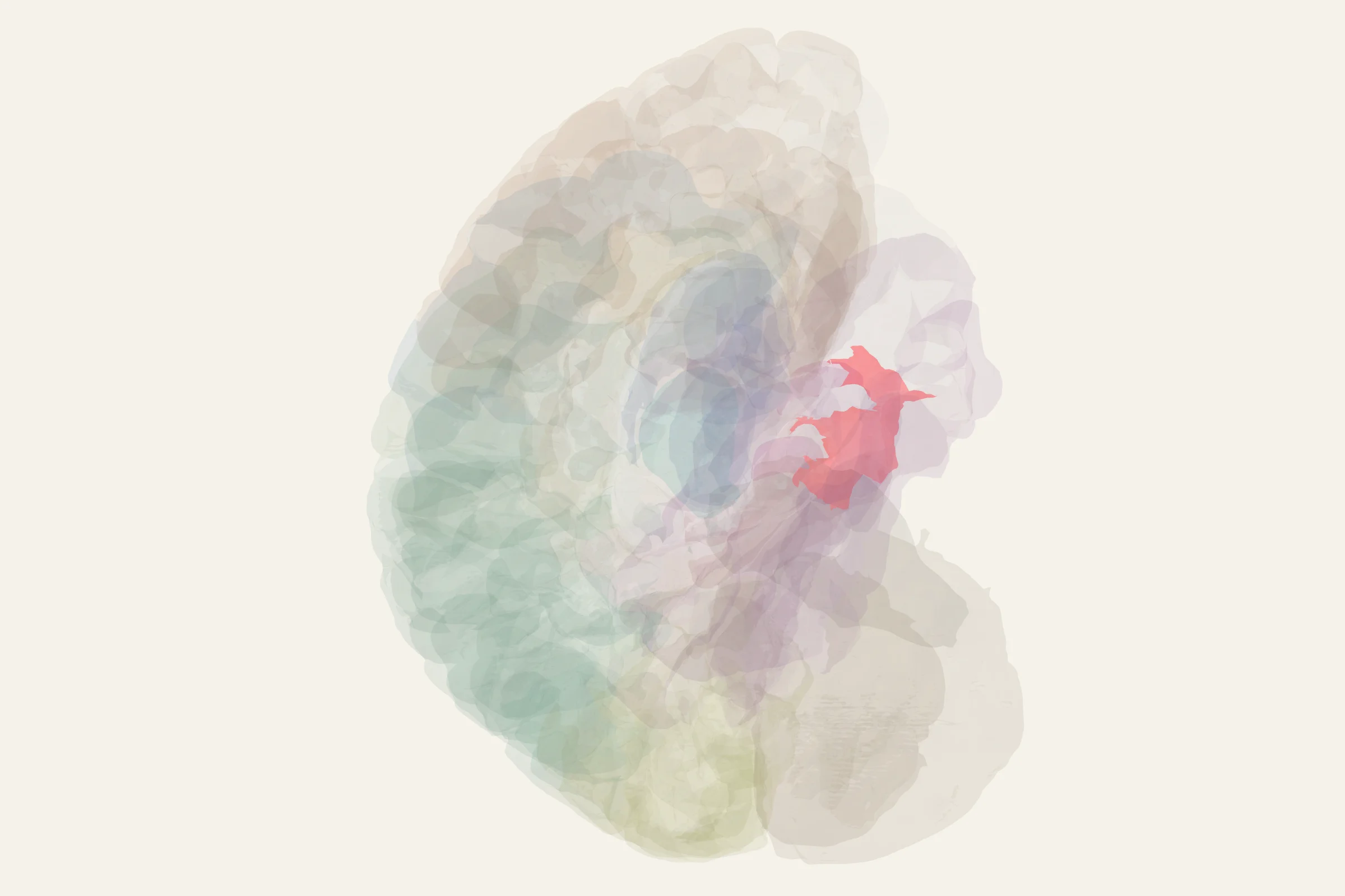 Entorhinal Cortex highlighted in colour on a rotatable 3D model of the human brain