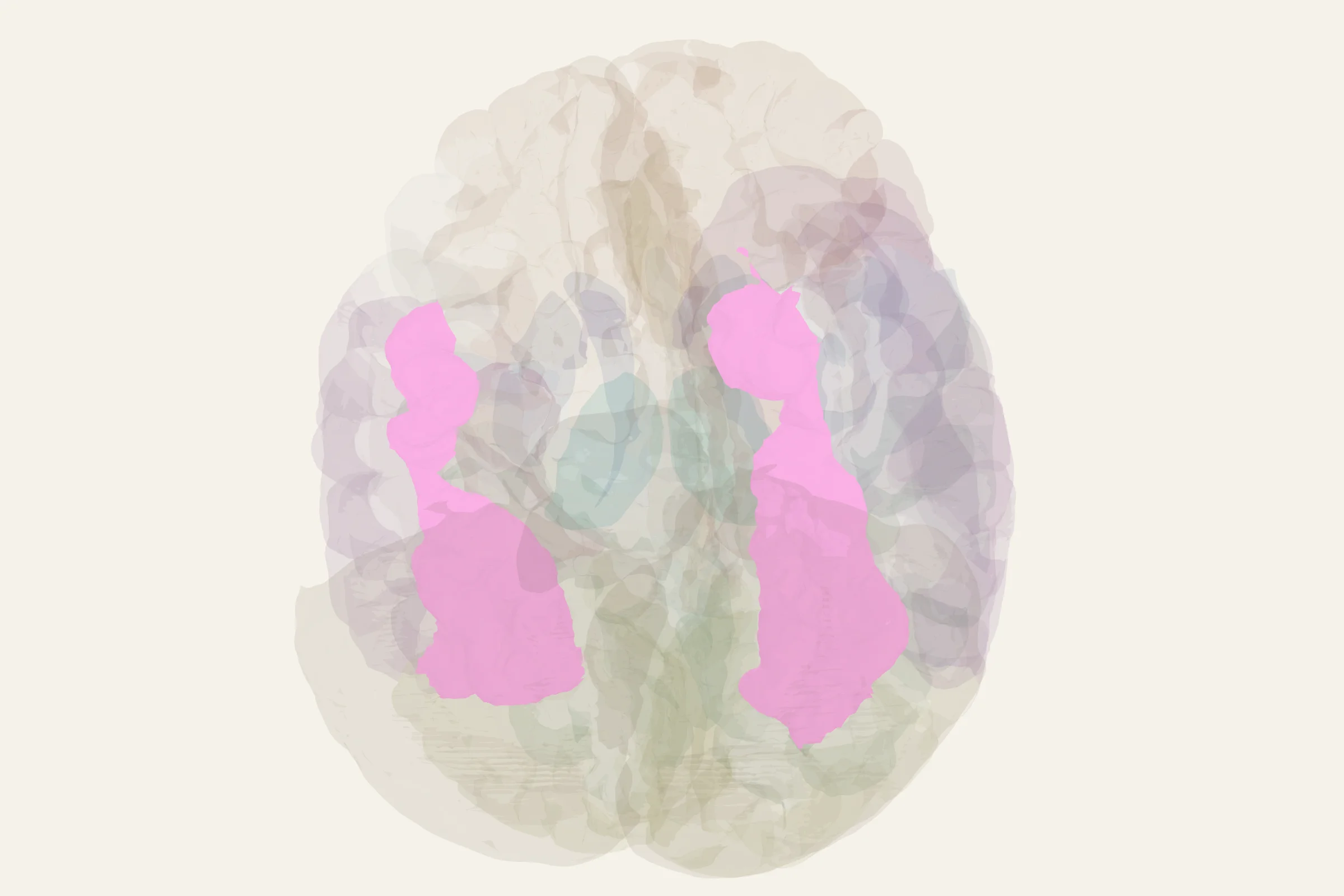 Fusiform Gyrus highlighted in colour on a rotatable 3D model of the human brain
