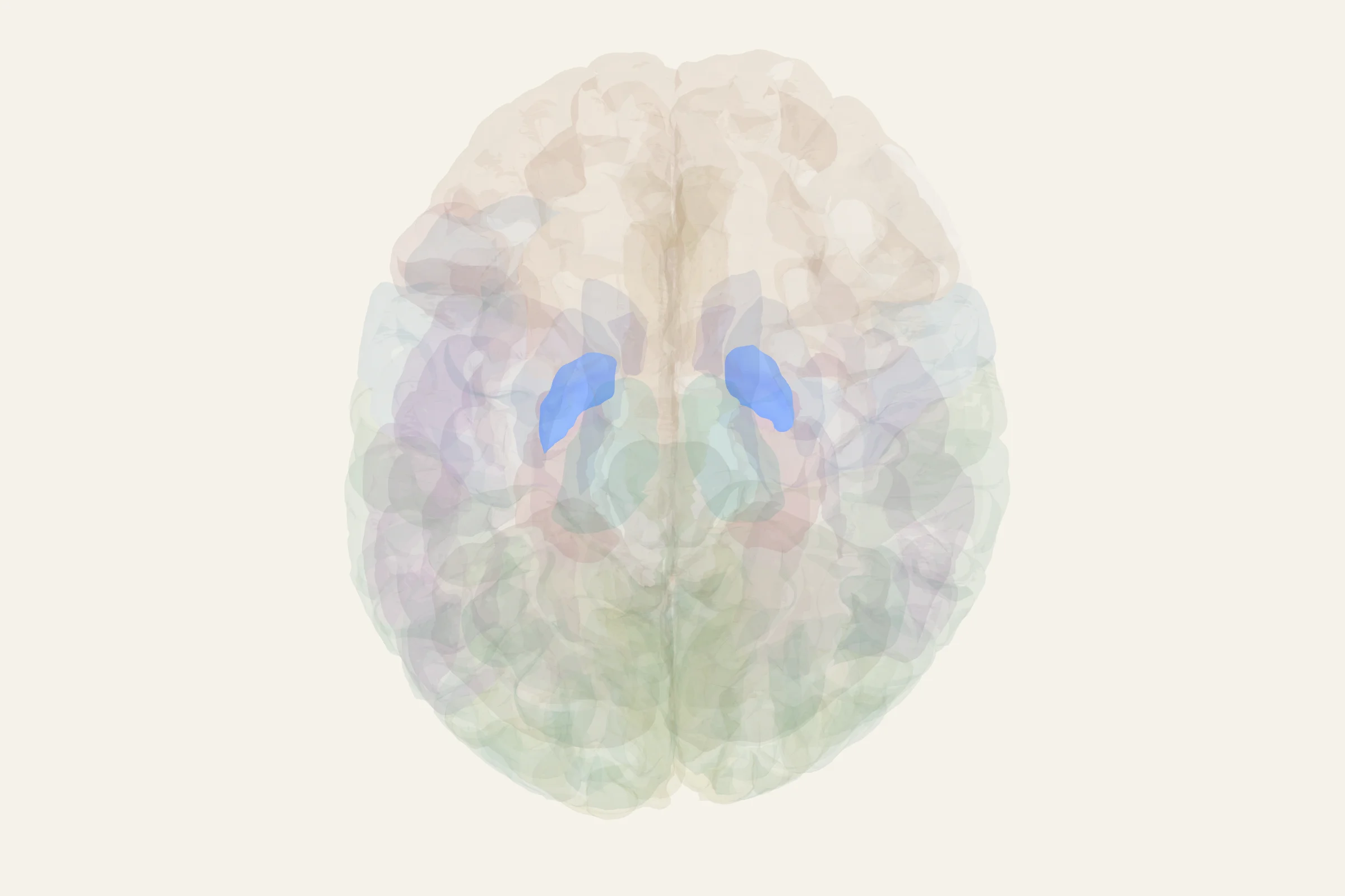 Globus Pallidus highlighted in colour on a rotatable 3D model of the human brain