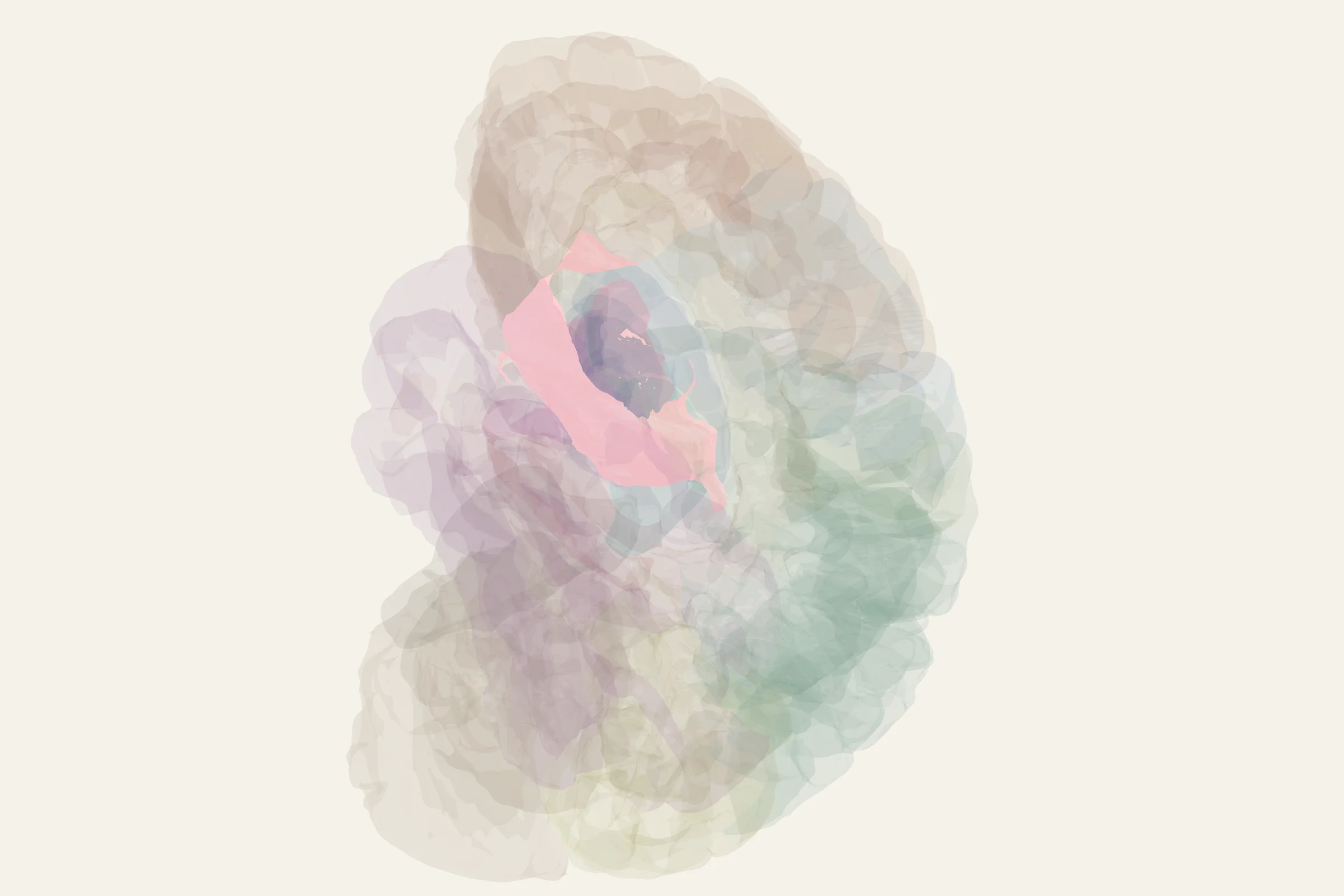 Insula highlighted in colour on a rotatable 3D model of the human brain