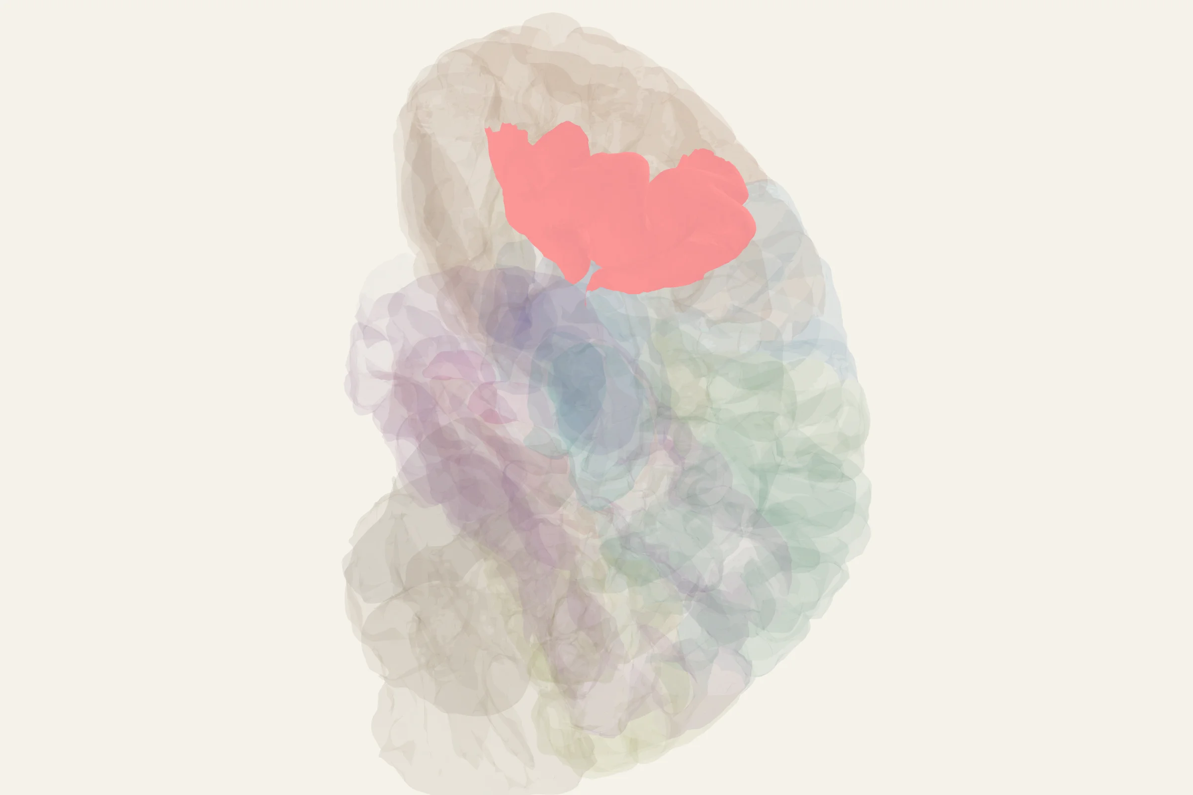 Left Inferior Frontal Gyrus highlighted in colour on a rotatable 3D model of the human brain