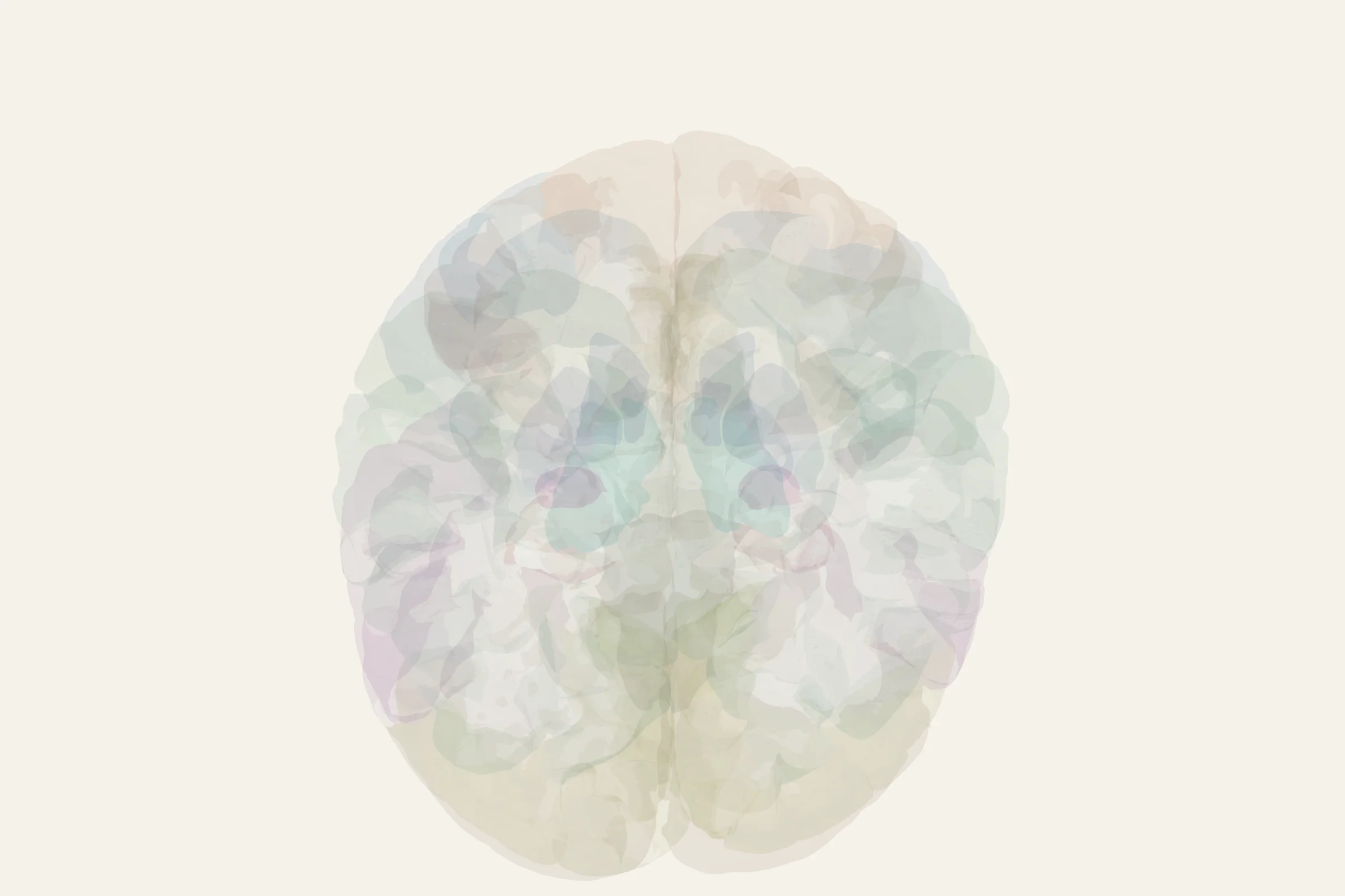Medullary Pyramids highlighted in colour on a rotatable 3D model of the human brain