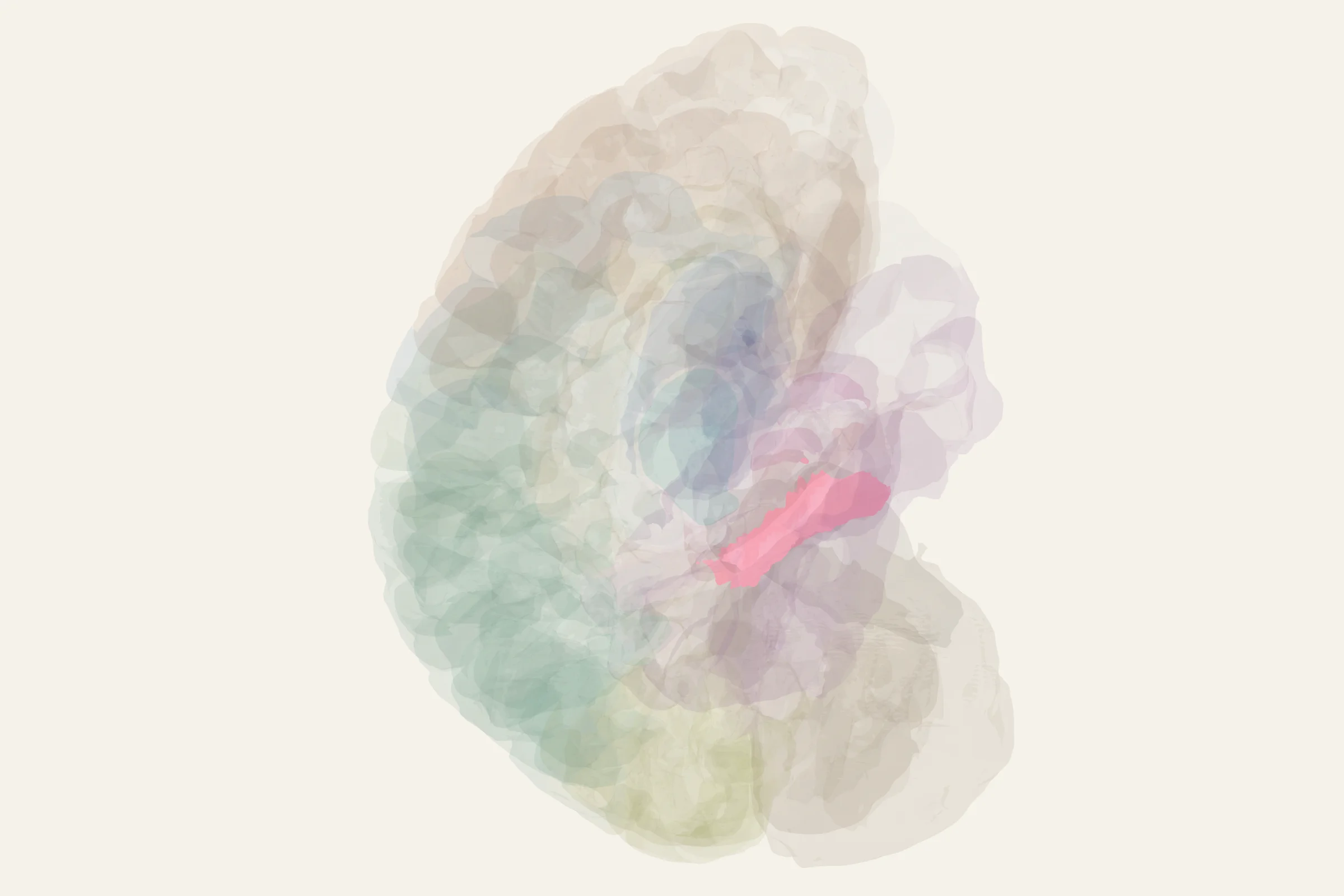 Parahippocampal Gyrus highlighted in colour on a rotatable 3D model of the human brain