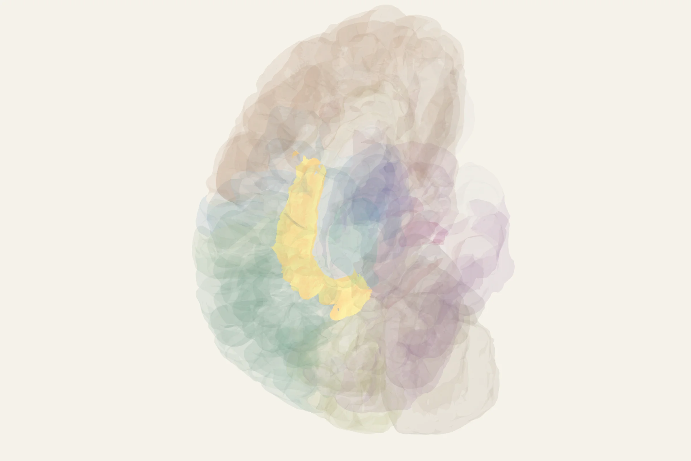 Posterior Cingulate Cortex highlighted in colour on a rotatable 3D model of the human brain