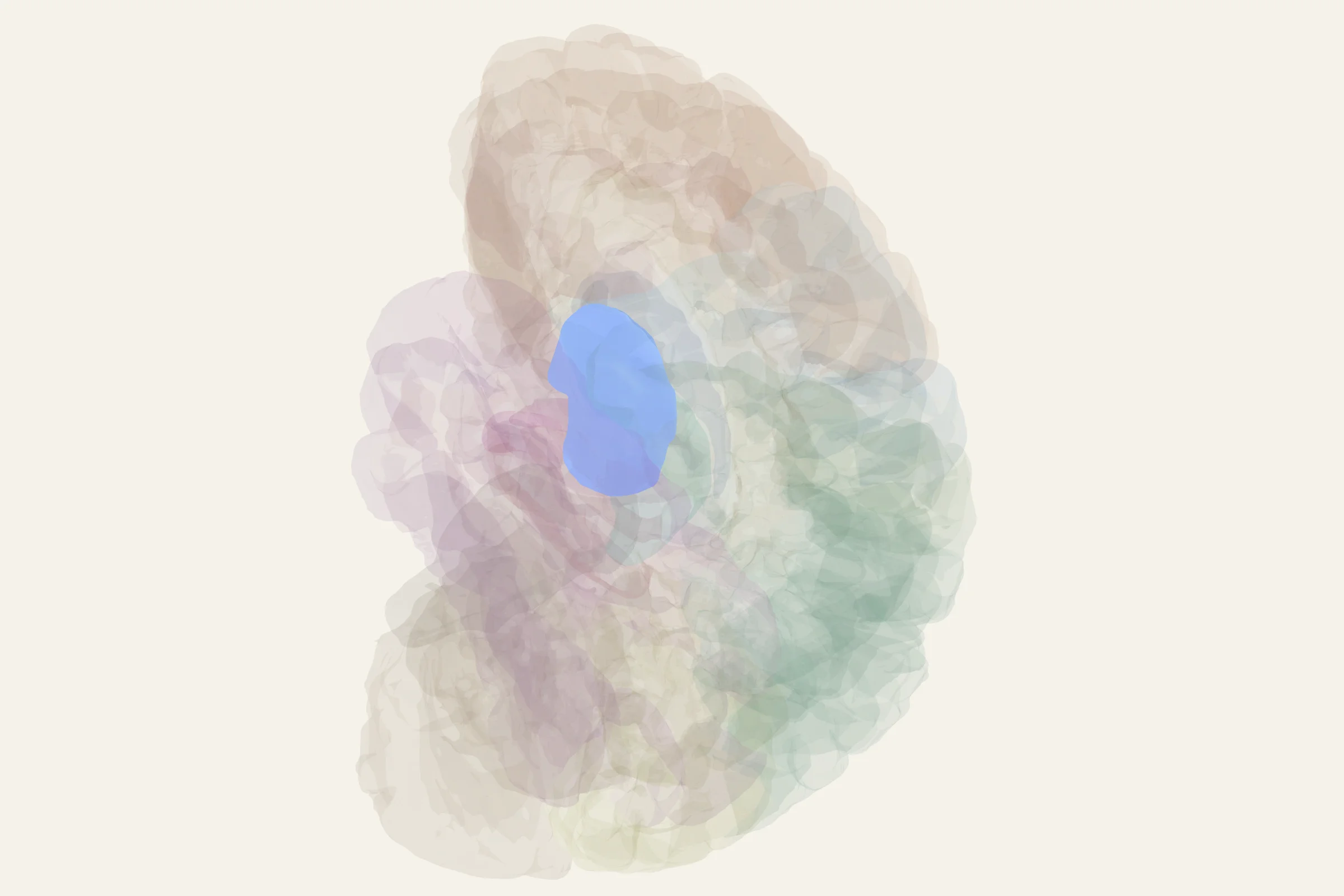 Putamen highlighted in colour on a rotatable 3D model of the human brain