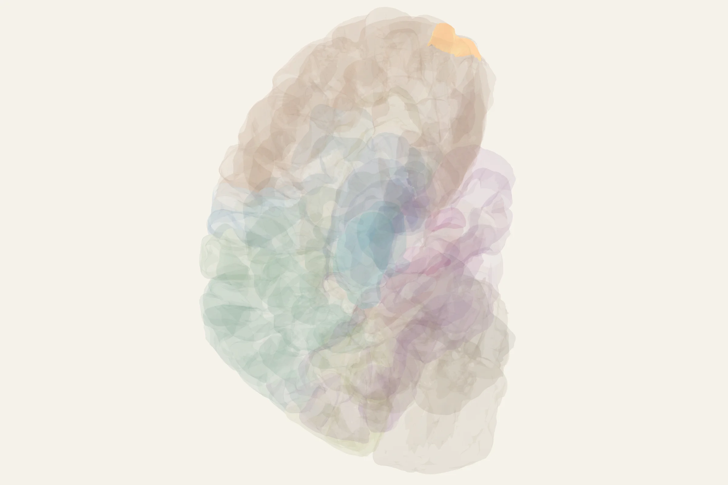 Right Frontopolar Cortex highlighted in colour on a rotatable 3D model of the human brain