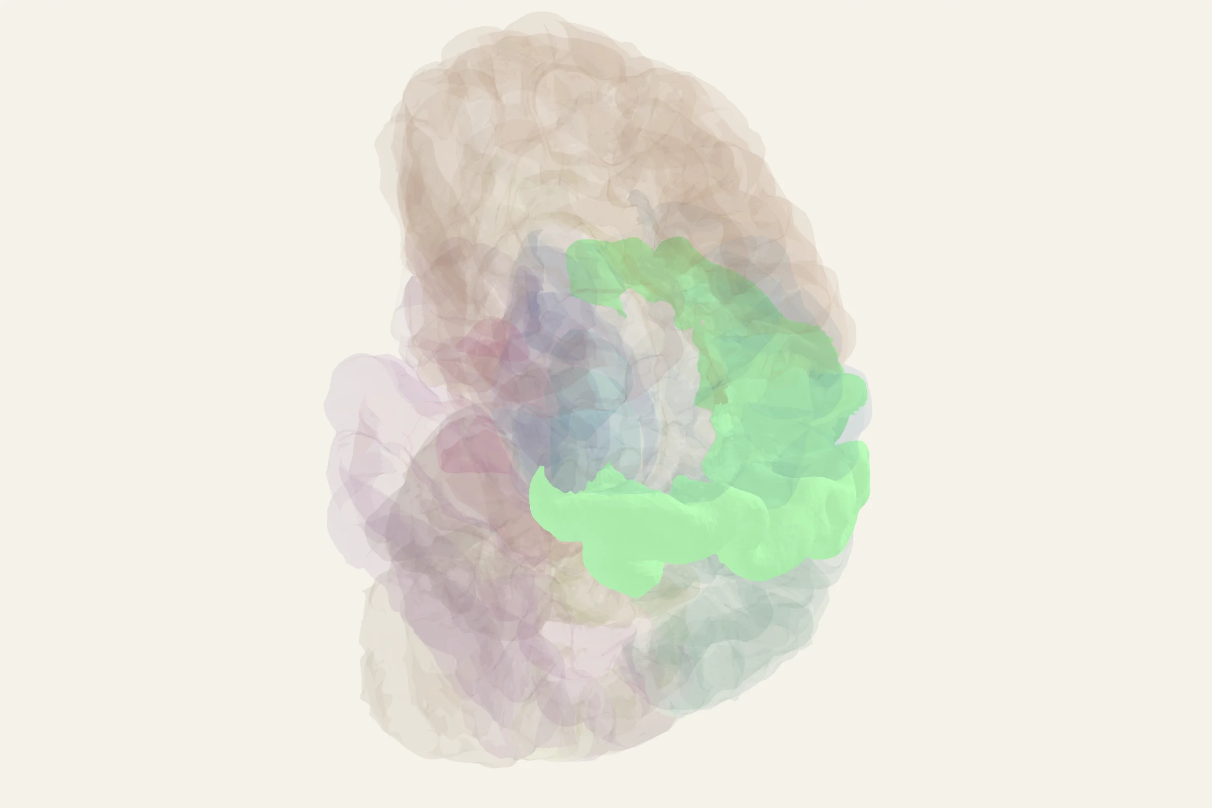 Somatosensory Cortex highlighted in colour on a rotatable 3D model of the human brain