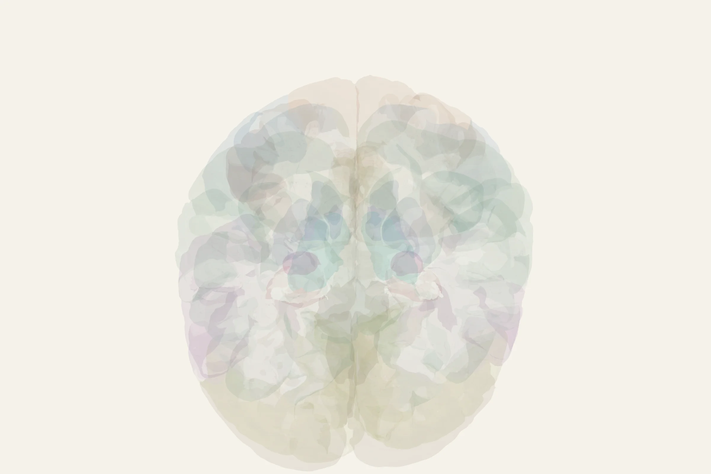 Spinal Cord highlighted in colour on a rotatable 3D model of the human brain